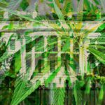 salon.com - Russell Payne - Big cannabis has cozied up to the GOP