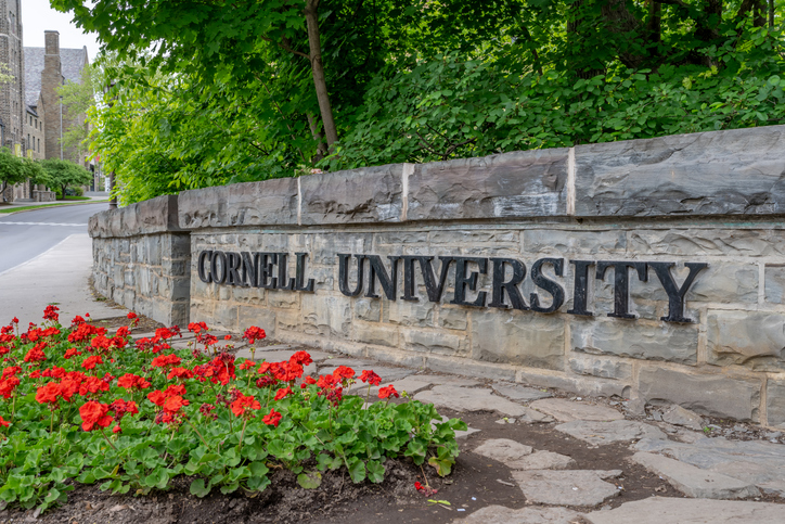 Cornell has a new dorm rule: Don’t butcher bears