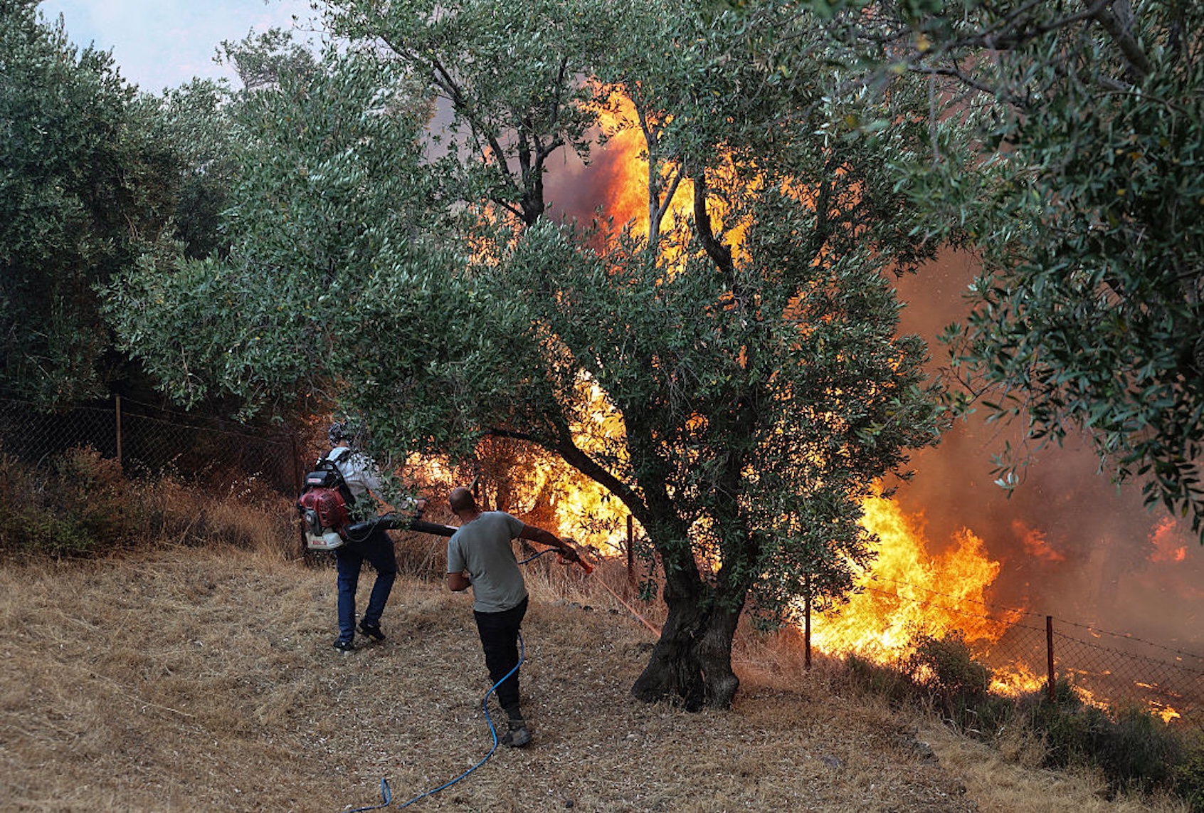 Firefighters try to extinguish a fire in the town of Plomari on the Greek island of Lesbos. (Manolis Lagoutaris / AFP via Getty Images)