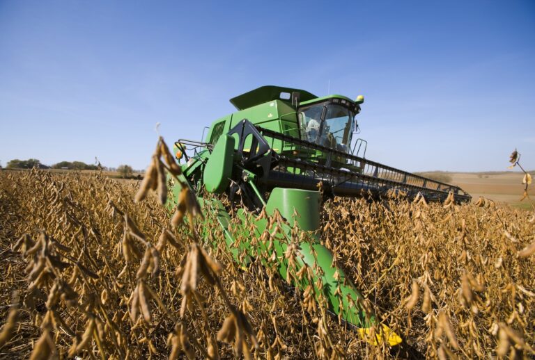 A John Deere combine harvests a healthy crop of soybeans in Autumn/near Northland, Minnesota. (Richard Hamilton Smith/Design Pics Editorial/Universal Images Group via Getty Images)