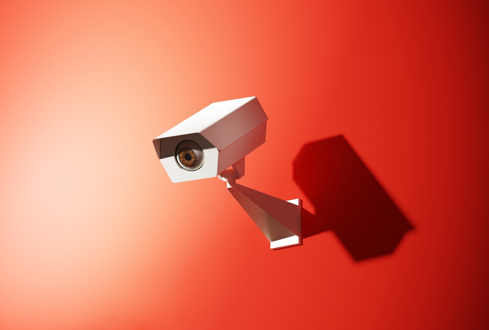 America built a surveillance state out of fear and never left it