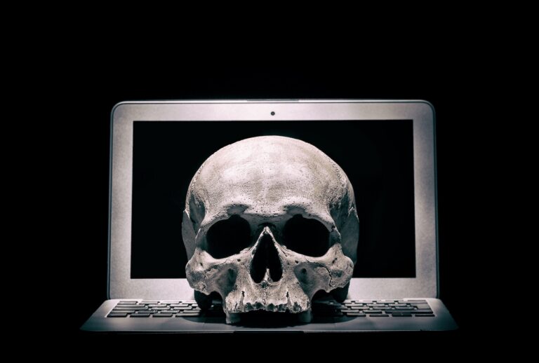 A skull on a laptop. (nantonov via Getty Images)